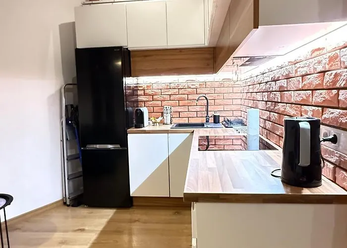 Piotrkowska 37 Loft By Dreamap * Лодзь